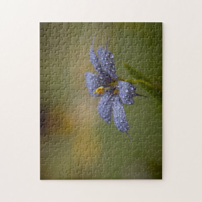 Puzzle Aux yeux bleus déwy (Vertical)