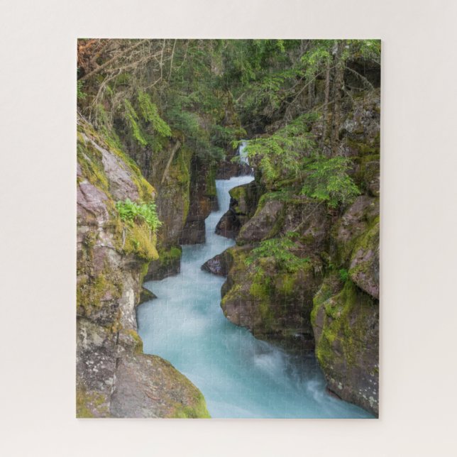Puzzle Avalanche Creek, parc national de Glacier, Montana (Vertical)
