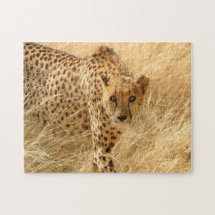 Puzzle avec boîte cadeau/Cheetah