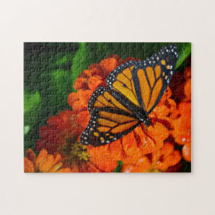 Puzzle avec boîte cadeau/papillon Monarque
