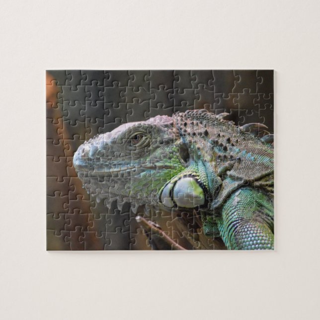 Puzzle avec tête colorée Iguana lézard (Horizontal)