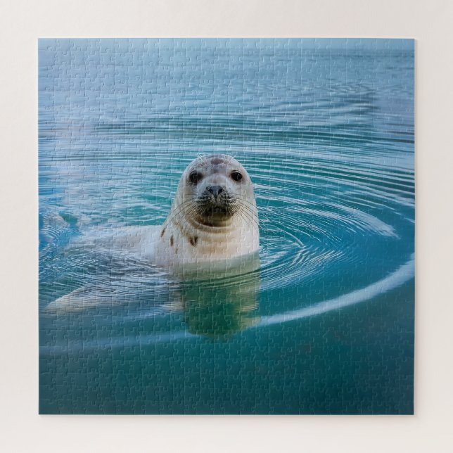 Puzzle Aventure Seal Pup (Vertical)