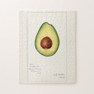 Puzzle Avocado (Persea) Peinture d'aquarelle aux fruits