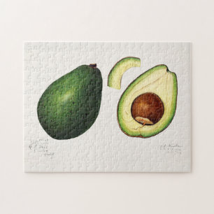 Puzzle Avocado (Persea) Peinture d'aquarelle aux fruits