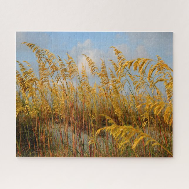 Puzzle Avoines de mer sur la plage (Horizontal)