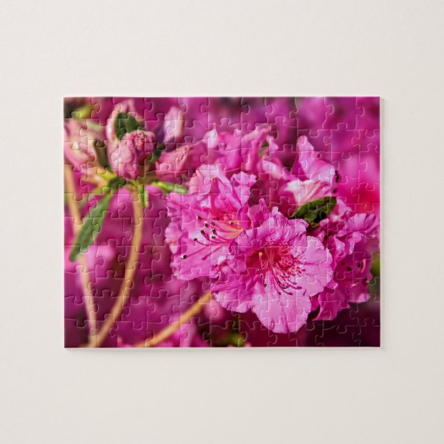 Puzzle Azaleas roses (Horizontal)