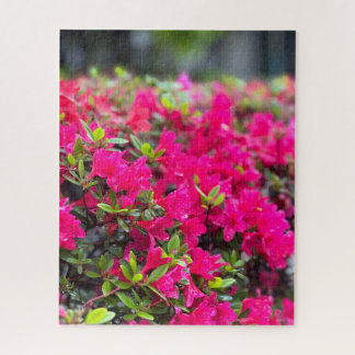 Puzzle Azalée rose vif, Séoul