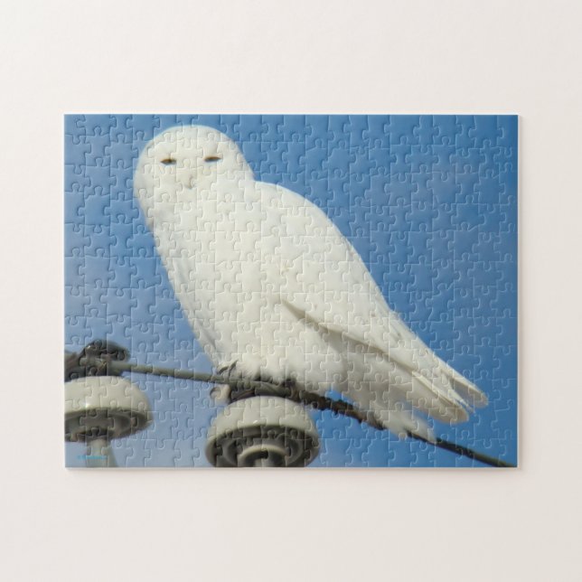 Puzzle B50 Harfang des neiges (Horizontal)