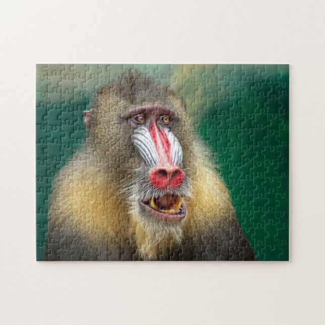Puzzle Baboon du Botswana (Horizontal)