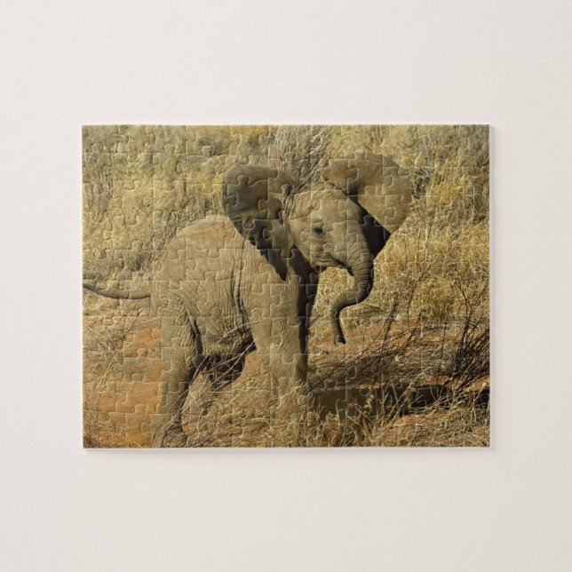 Puzzle Baby African Elephant, Loxodonta Africana, (Horizontal)