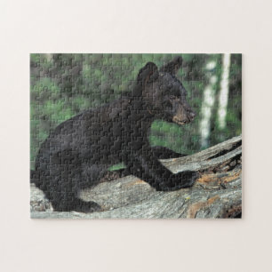 Puzzle Baby Black Bear Cub