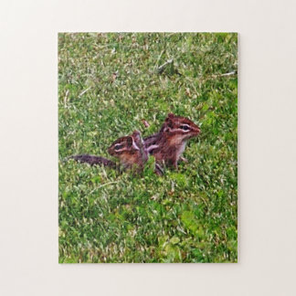 Puzzle Baby Chipmunks Premier Jour #4 Animal Art