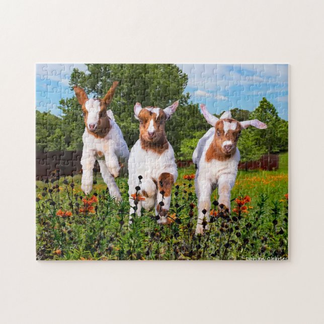 Puzzle "Baby Goats" (Horizontal)