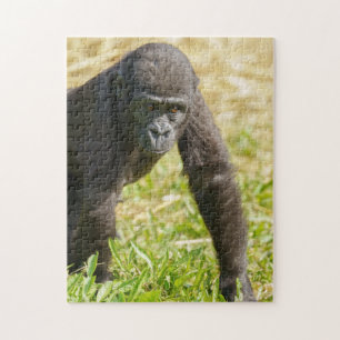 Puzzle Baby Gorilla