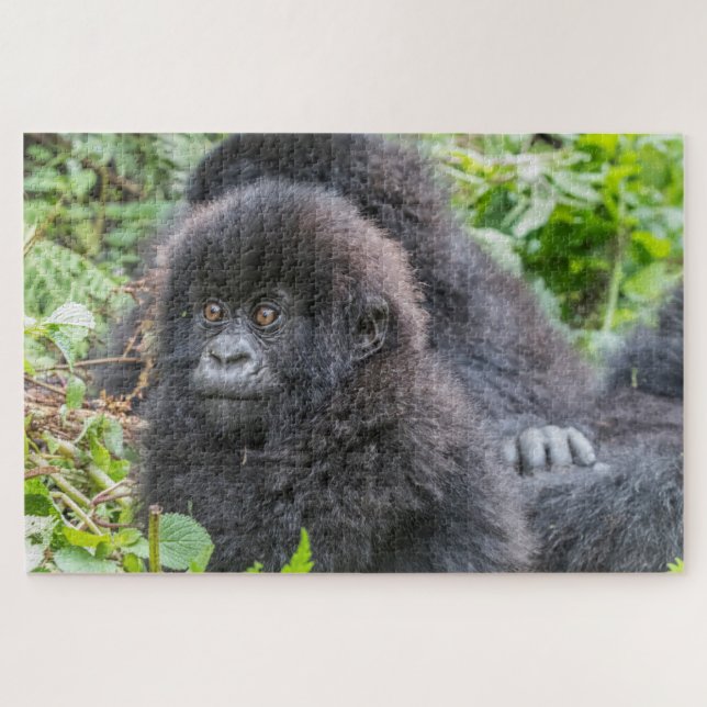 Puzzle Baby Mountain Gorilla (Horizontal)