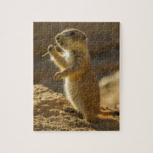 Puzzle Baby prairie chien mangeant, Arizona