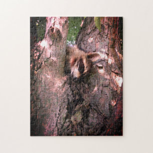 Puzzle Baby Raccoon