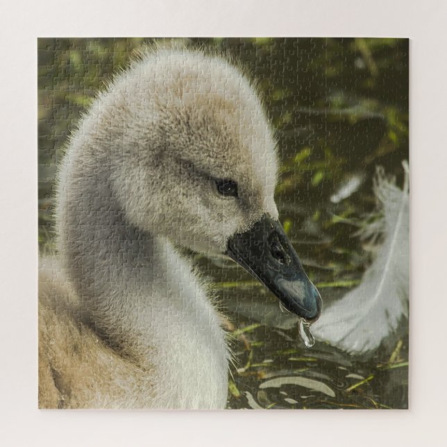Puzzle Baby Swan And Feather (Vertical)