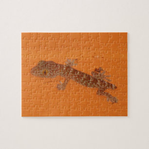 Puzzle Baby Tokay Gecko