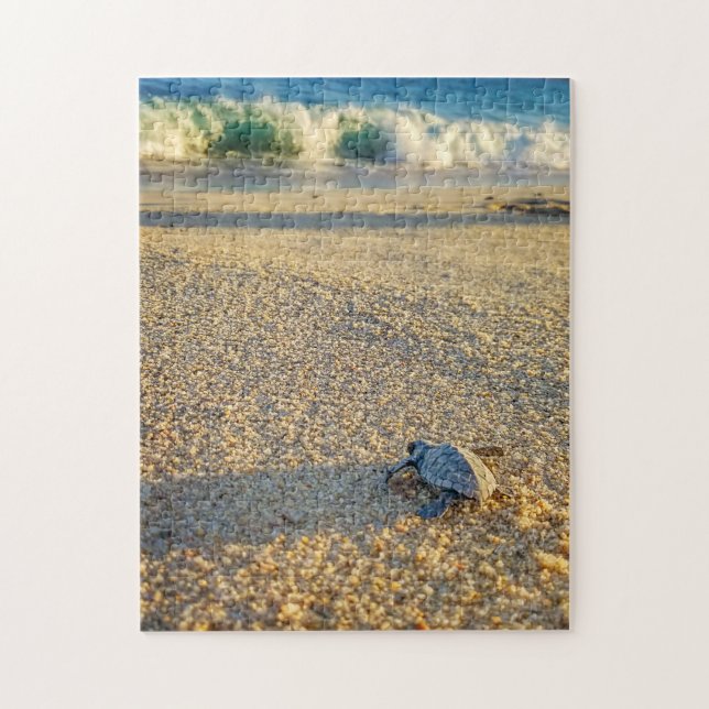 Puzzle Baby Turtle walking to the Ocean in Los Cabos (Vertical)