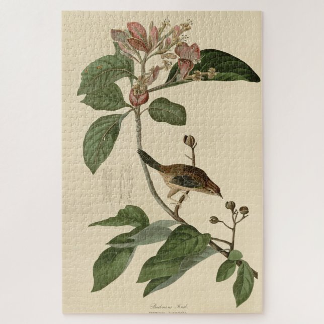 Puzzle Bachman's Finch (Sparrow) Audubon Birds of America (Vertical)