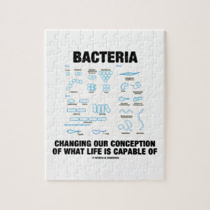 Puzzle Bactéries changeant notre conception quelle vie