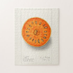 Puzzle Bael (Aegle Marmelos) Peinture à l'aquarelle de f