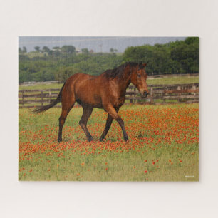 Puzzle Baie Thoroughbred Horse Walking Flowers