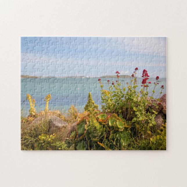 Puzzle Baie verte, Bryher (Horizontal)