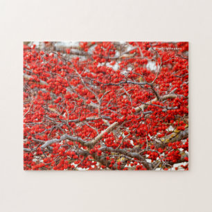 Puzzle Baies d'hiver rouge vif Baies d'arbre blanc