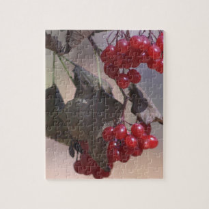 Puzzle Baies Rouges