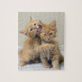 Puzzle Baiser et serrer les chatons