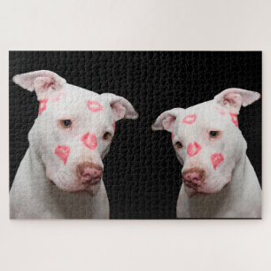 Puzzle Baisers de Pitbull
