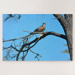 Puzzle Balbuzard dans la nature
