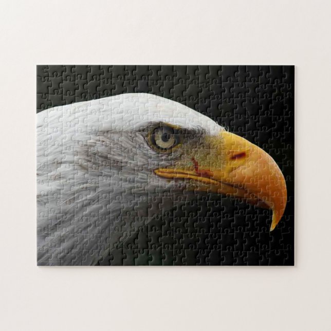 Puzzle Bald Eagle 11x14 252pc jpcn (Horizontal)
