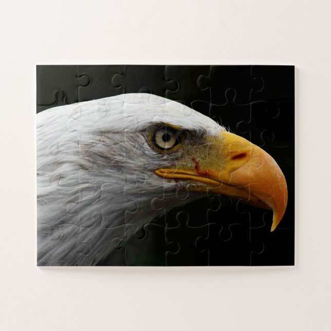 Puzzle Bald Eagle 11x14 30pc/min (Horizontal)