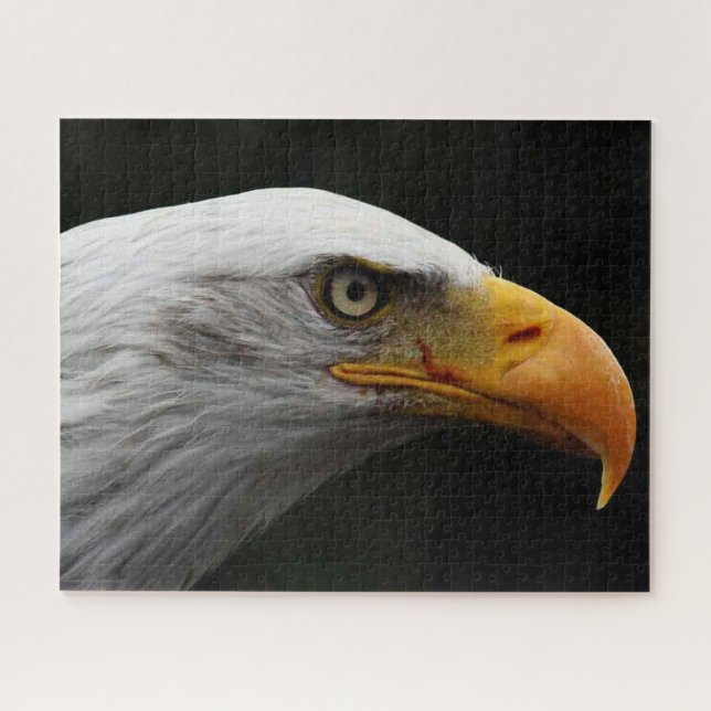 Puzzle Bald Eagle 16x20 jpcna 520pc (Horizontal)