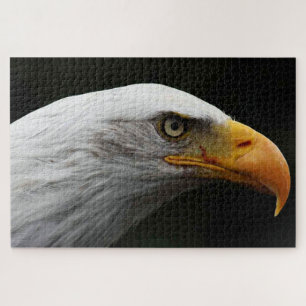 Puzzle Bald Eagle 20x30 1014pc jpcn