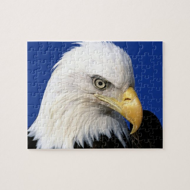 Puzzle Bald Eagle Blue Sky Famille Plaisir (Horizontal)