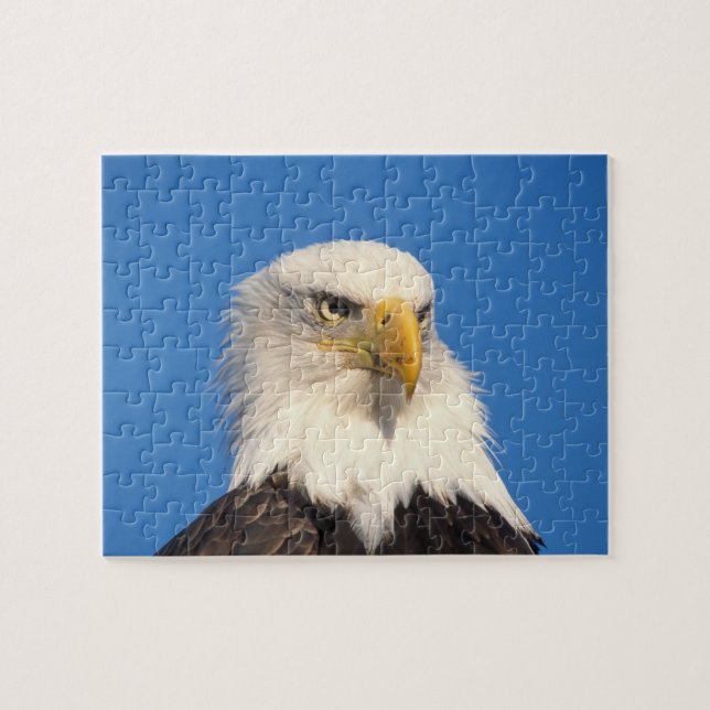 Puzzle Bald Eagle Look (Horizontal)