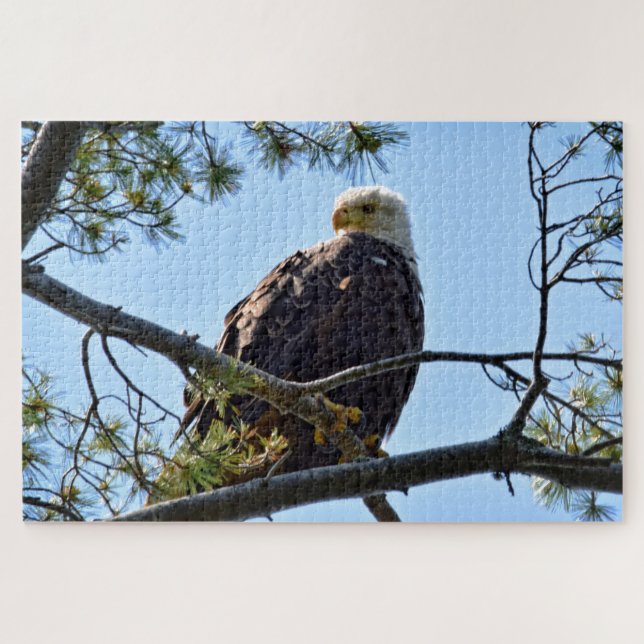 Puzzle Bald Eagle Perch - 20x30 - 1014 pcs. (Horizontal)
