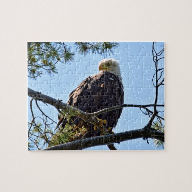 Puzzle Bald Eagle Perch - 8x10 - 110 pcs. (Horizontal)