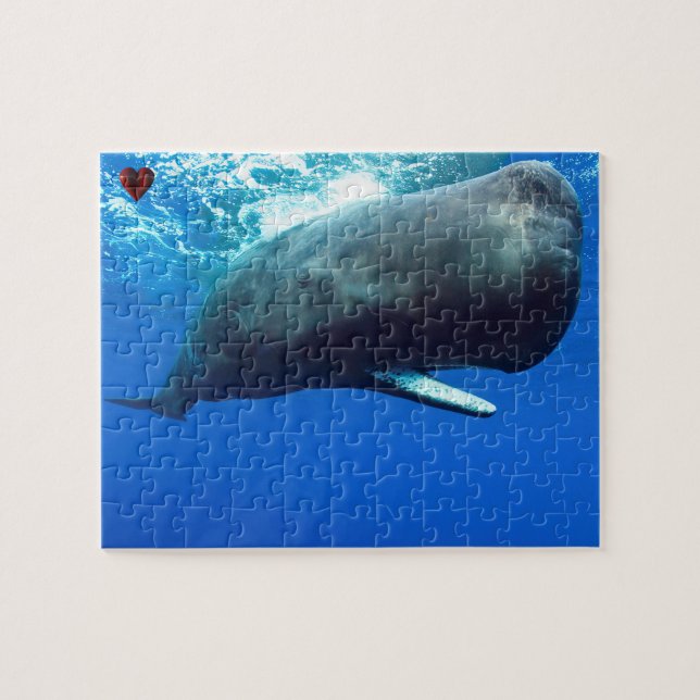 Puzzle Baleine à sperme (Horizontal)