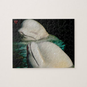 Puzzle Baleine de Beluga Alaska