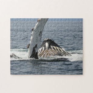 Puzzle Baleine de bosse