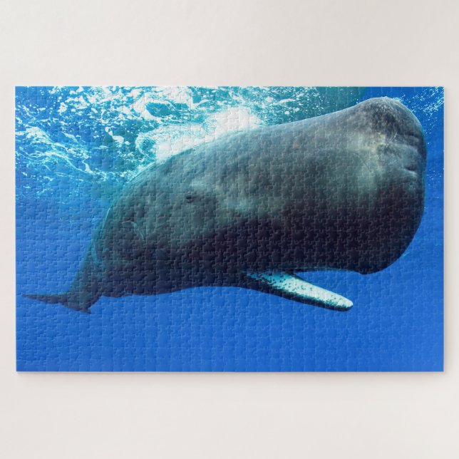 Puzzle Baleine de Sperm (Horizontal)