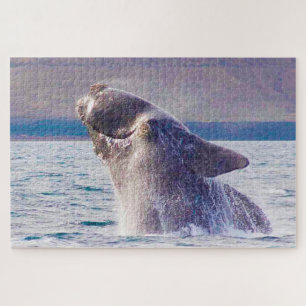 Puzzle Baleine droite