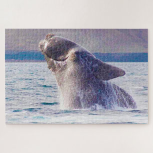 Puzzle Baleine franche