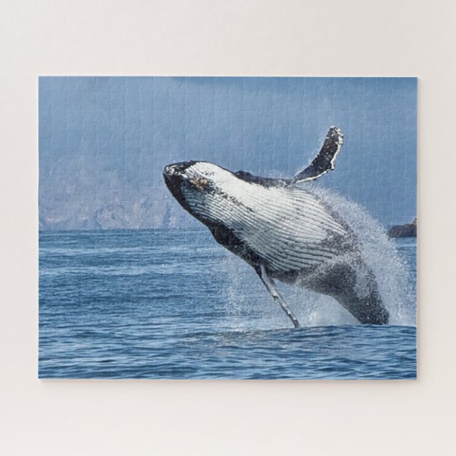 Puzzle Baleines à bosse de Jigsaw. (Horizontal)