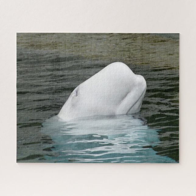 Puzzle Baleines de Beluga (Horizontal)